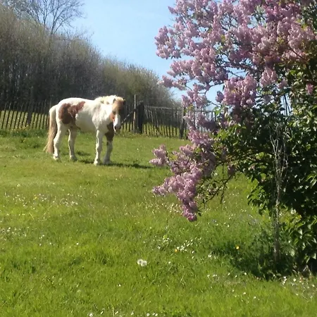 Ferienhaus My Little Sweet *