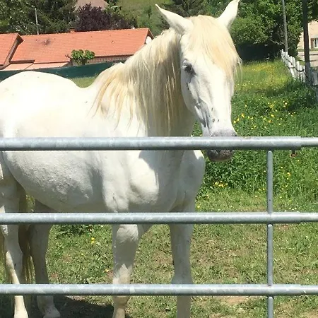 My Little Sweet Colombe (Isere)